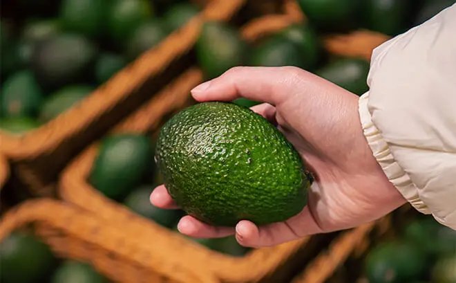 Perú Podría Duplicar Envíos De Paltas A Ee.uu. En Cinco Años Perú Podría Duplicar Envíos De Paltas A Ee.uu. En Cinco Años