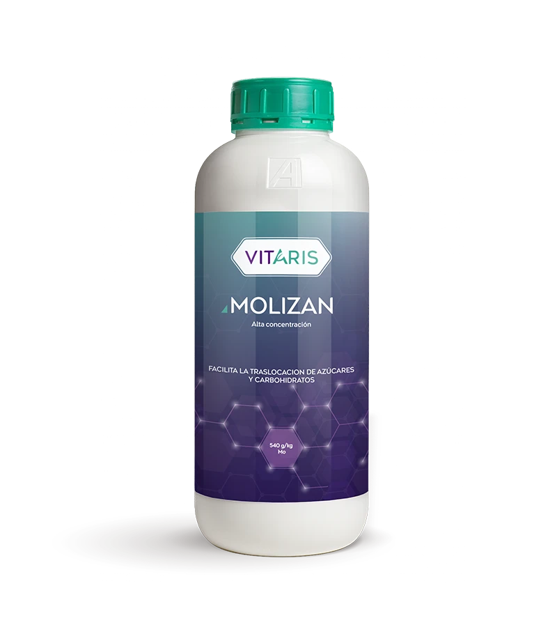 Vitaris Molizan