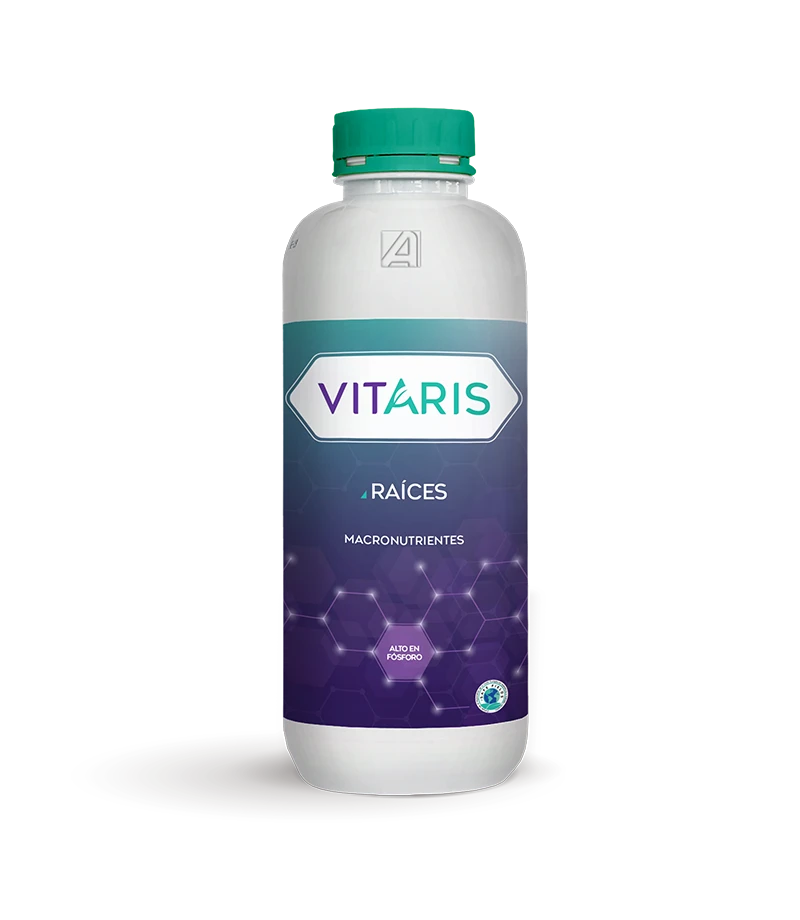 Vitaris Raíces