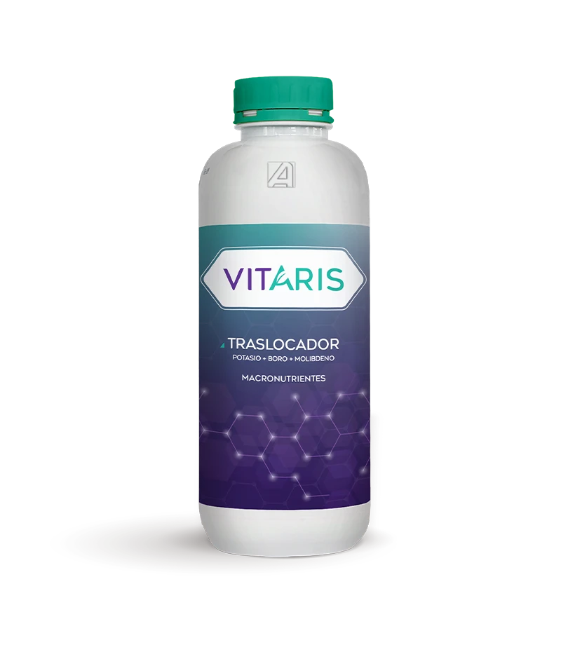 Vitaris Traslocador