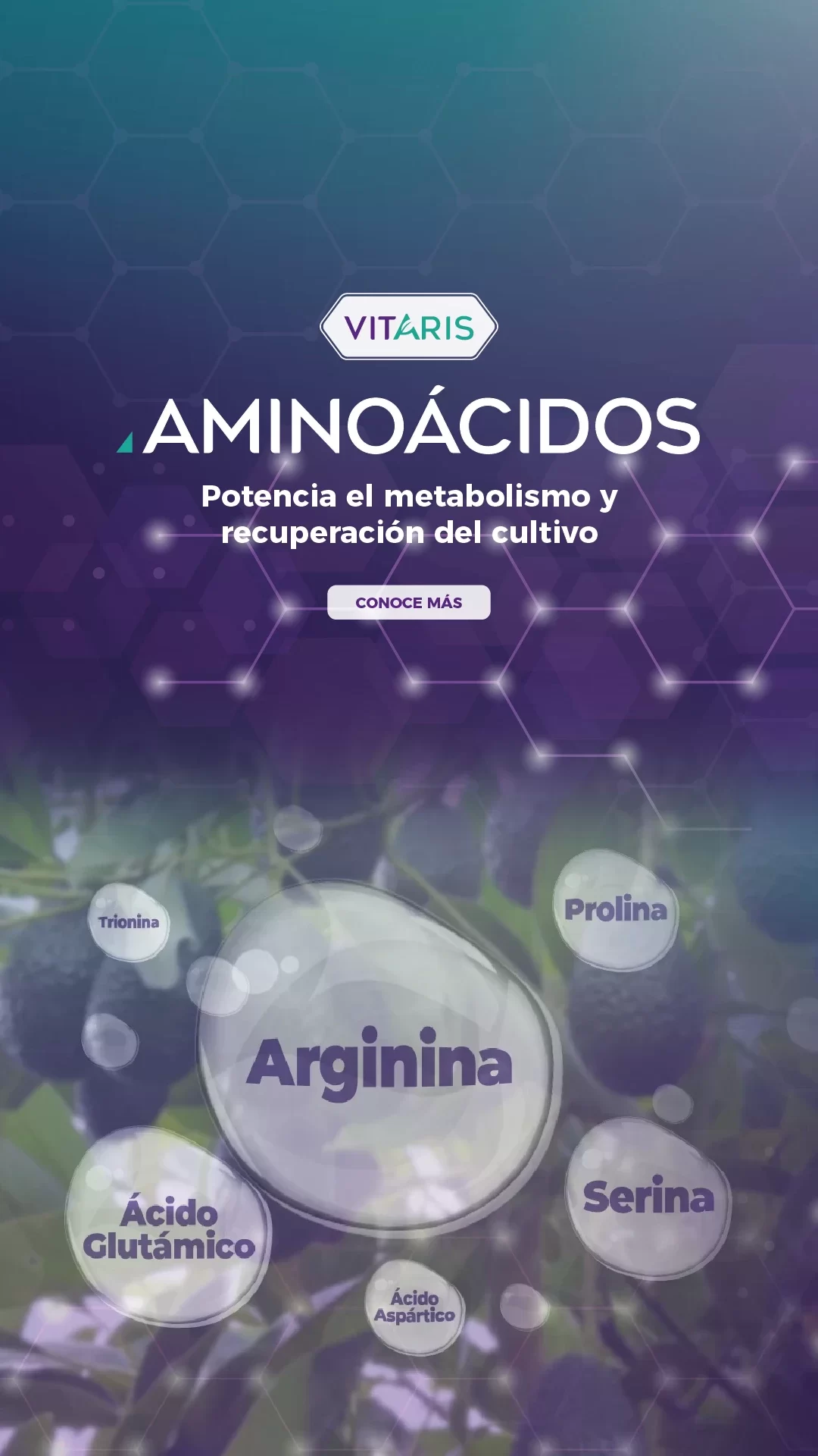 Banner-Vitaris-Aminoacidos(Mobile)