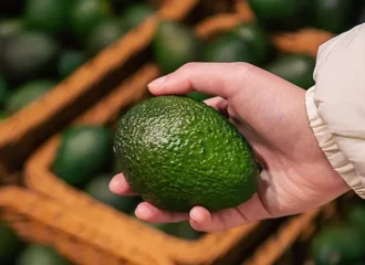 Perú Podría Duplicar Envíos De Paltas A Ee.uu. En Cinco Años