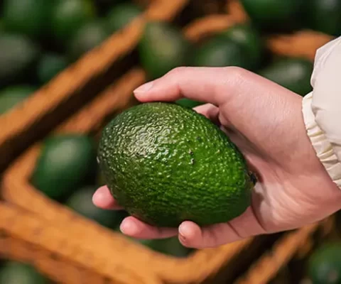 Perú Podría Duplicar Envíos De Paltas A Ee.uu. En Cinco Años